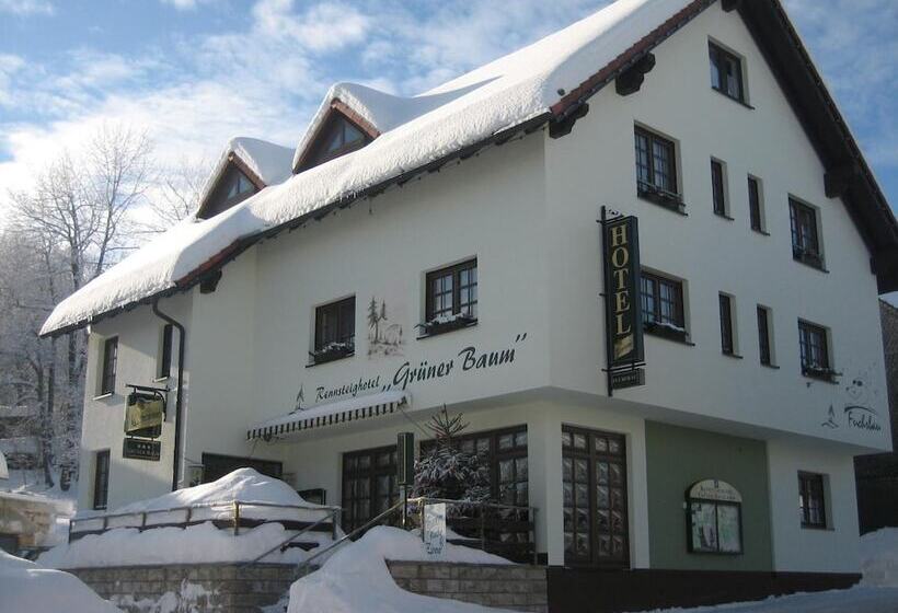 Rennsteighotel Grüner Baum