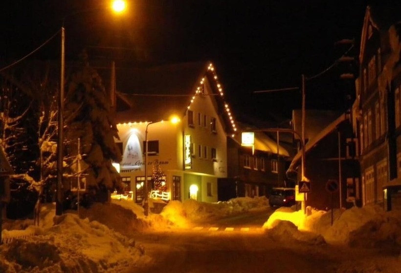 Rennsteighotel Grüner Baum