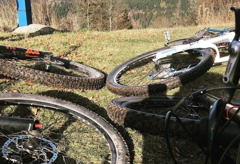 Rennsteighotel Grüner Baum