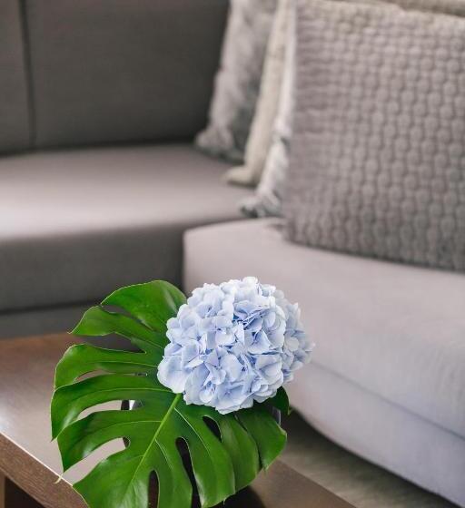 Brasil Suites Boutique