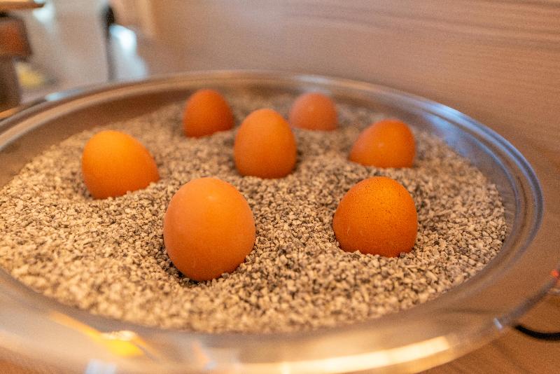 Das Hotel An Der Stadthalle   Rostock Hbf