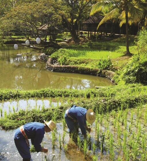 Four Seasons Resort Chiang Mai