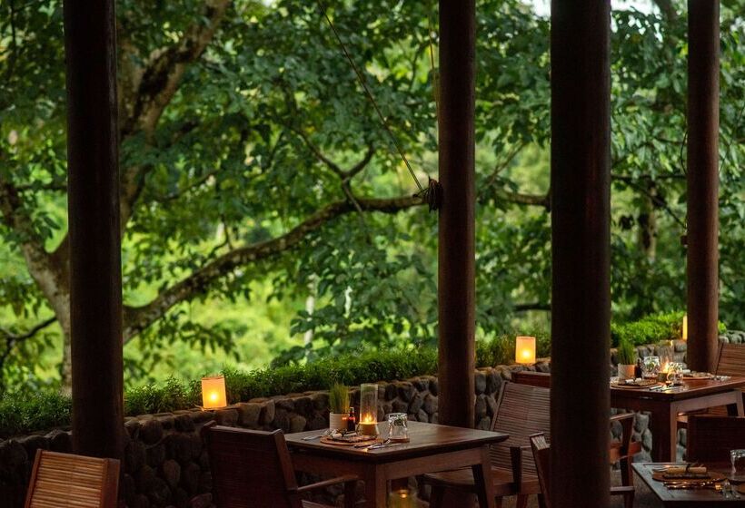 בית מלון כפרי Alila Ubud