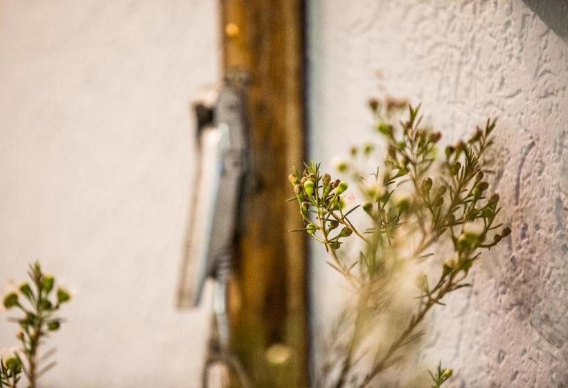 Отель Anderschitz Land