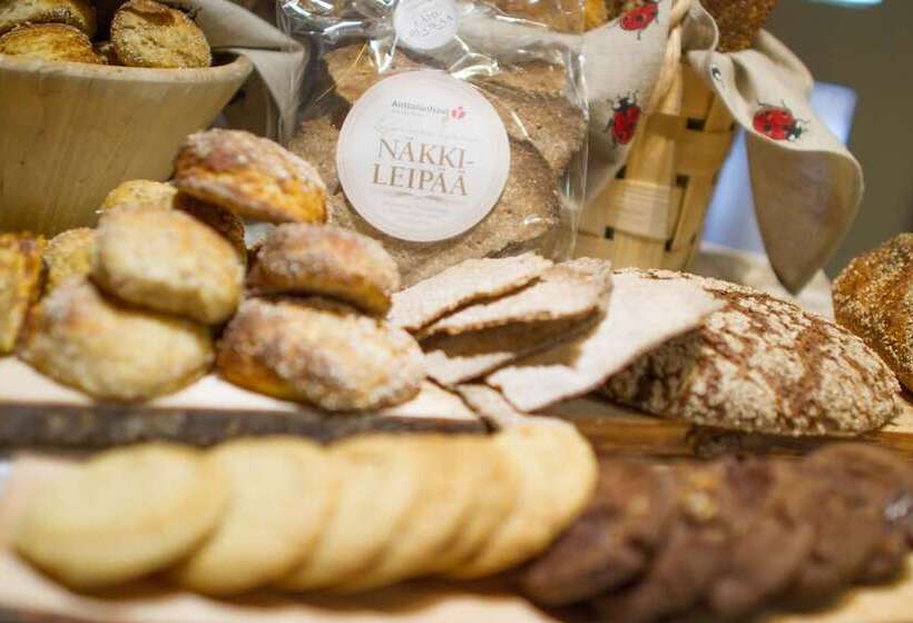 בית מלון כפרי Anttolanhovi