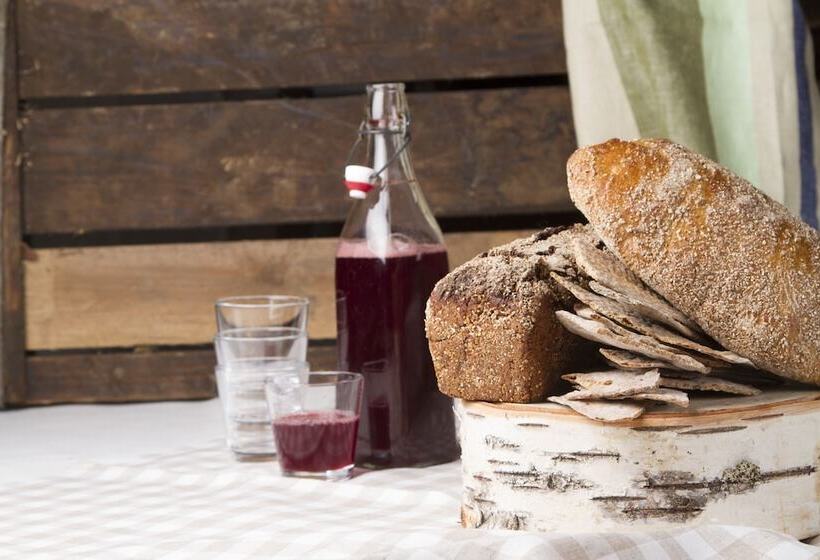 בית מלון כפרי Anttolanhovi