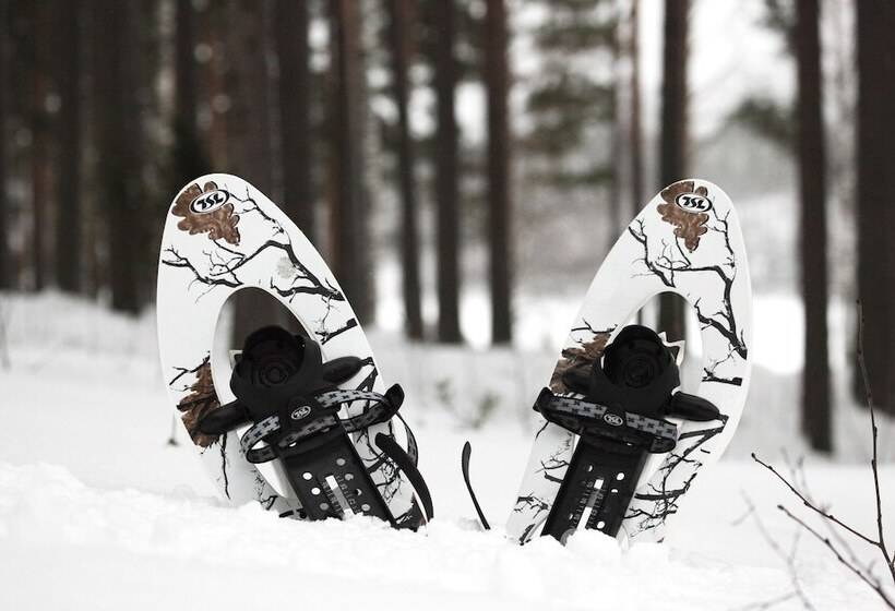 בית מלון כפרי Anttolanhovi