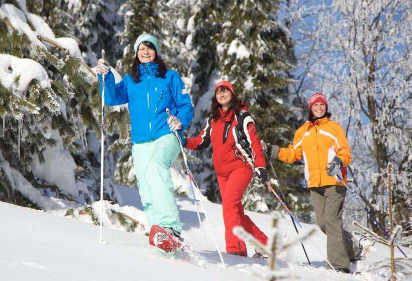 Best Western Ahorn Hotel Oberwiesenthal – Adults Only