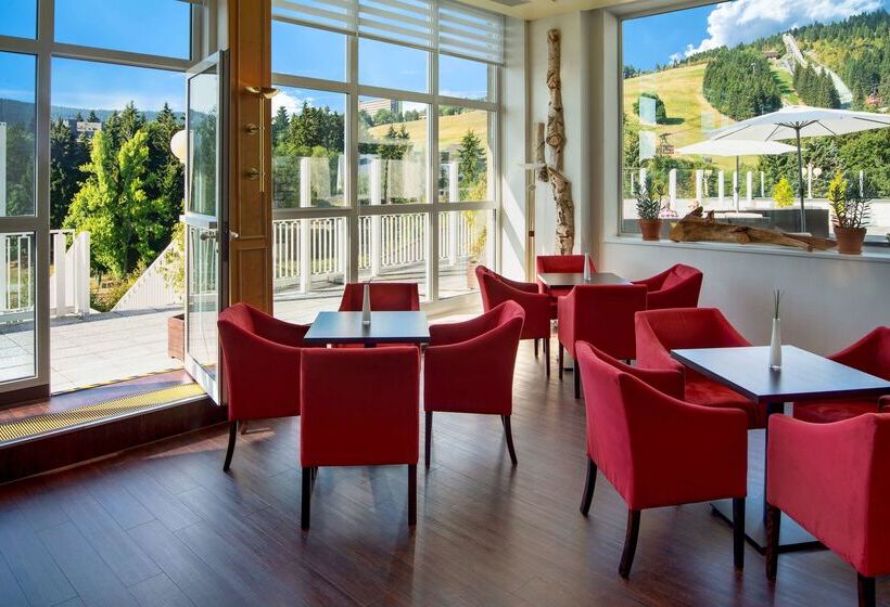 Best Western Ahorn Hotel Oberwiesenthal – Adults Only