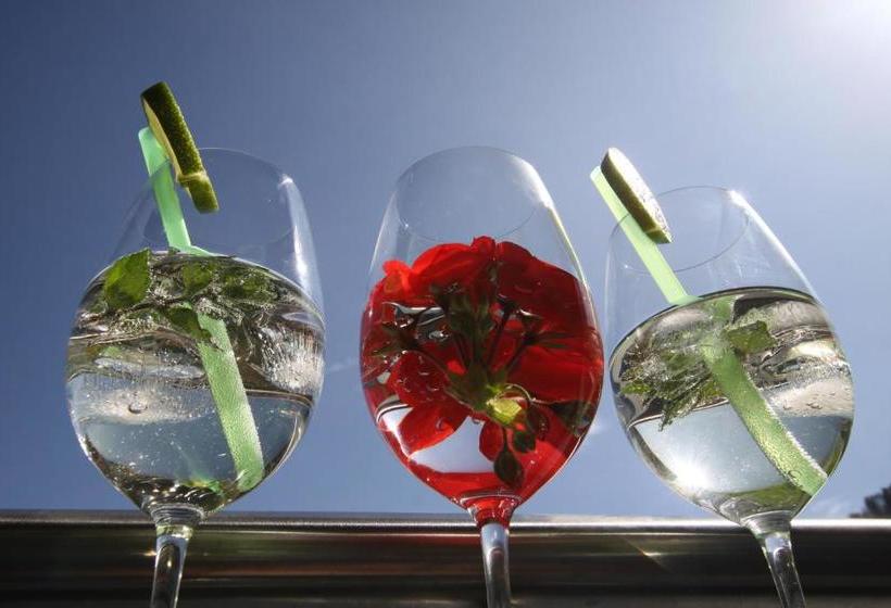 בית מלון כפרי Bärolina