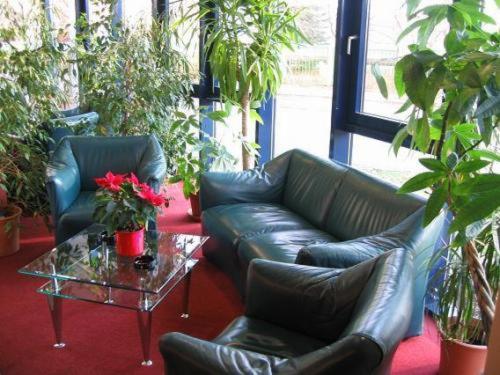 בית מלון כפרי Carat