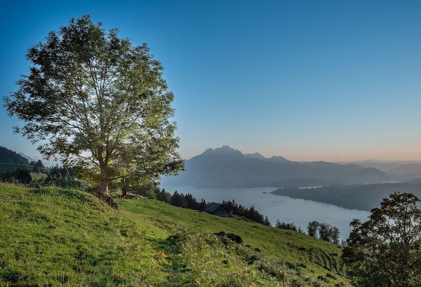 فندق Central Luzern