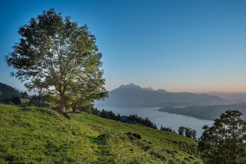 فندق Central Luzern