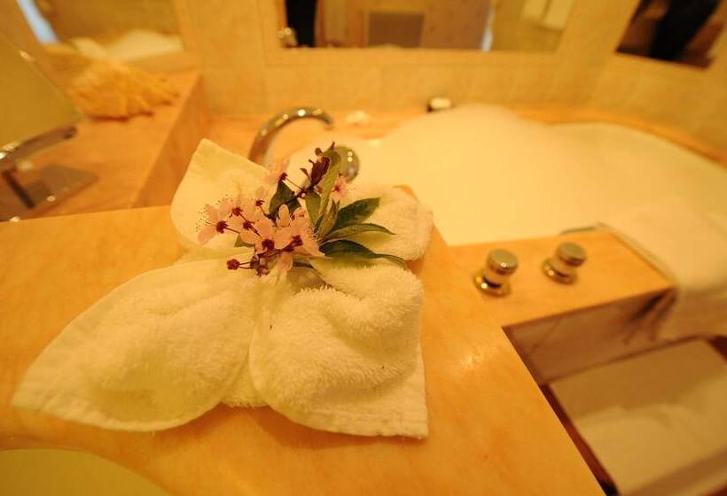 فندق Château De Curzay