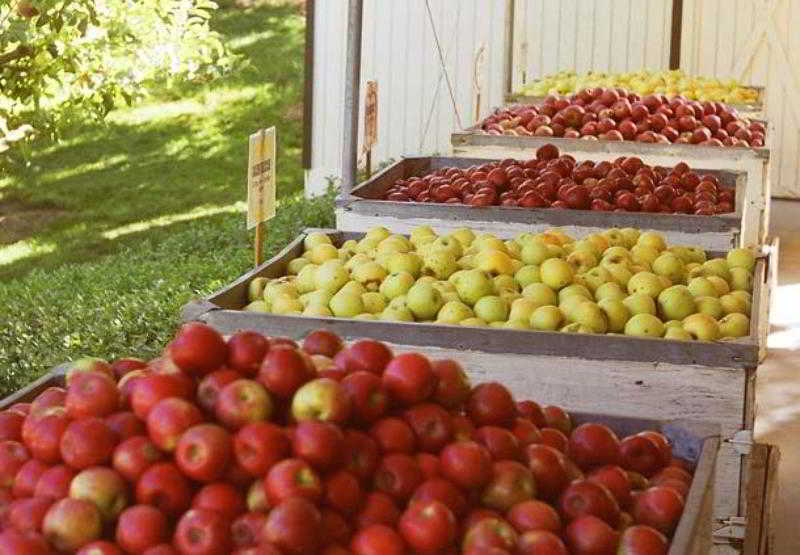 فندق Courtyard Sacramento Airport Natomas