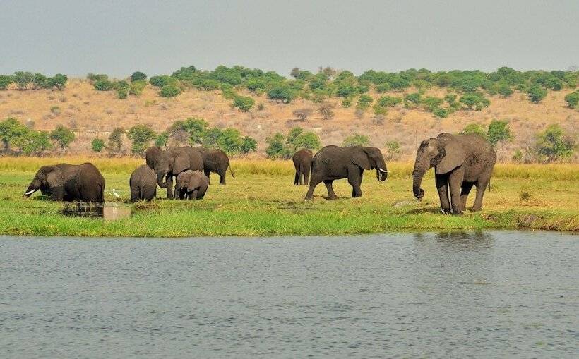 호텔 Cresta Mowana Safari Resort & Spa