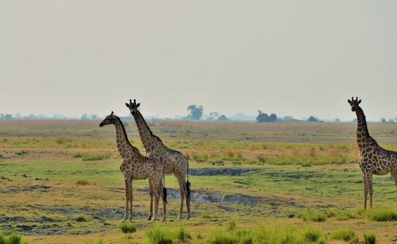 호텔 Cresta Mowana Safari Resort & Spa