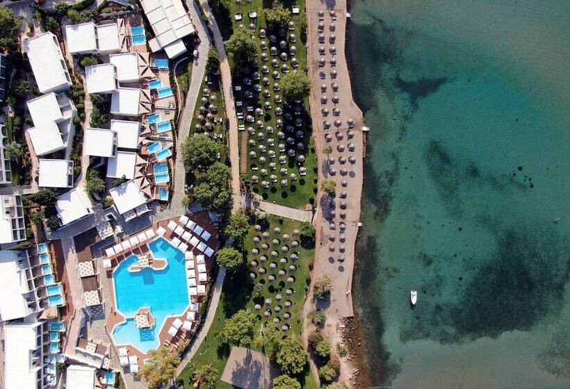 호텔 Dolce By Wyndham Athens Attica Riviera