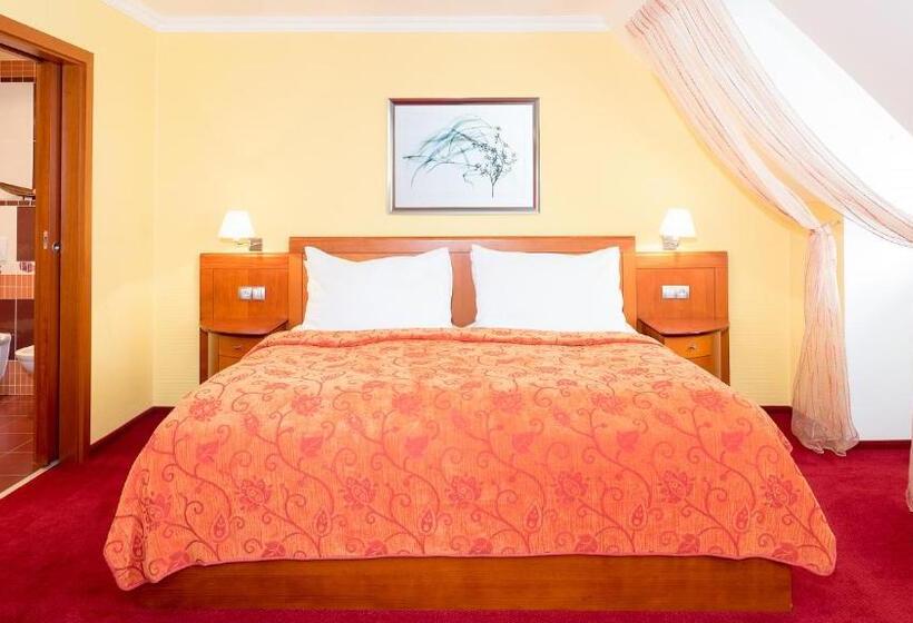 酒店 česká Koruna