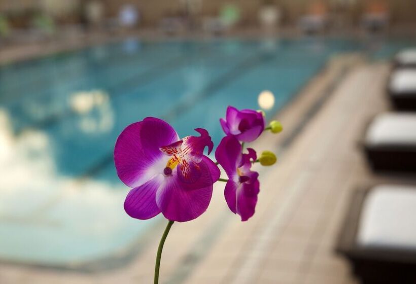 酒店 Herbert Samuel The Reef Eilat