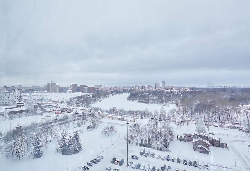 ホテル Izmailovo Gamma