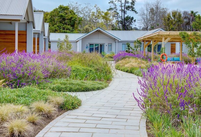 فندق Knysna Hollow Country Estate