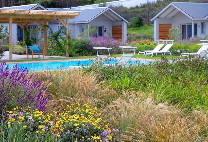 فندق Knysna Hollow Country Estate