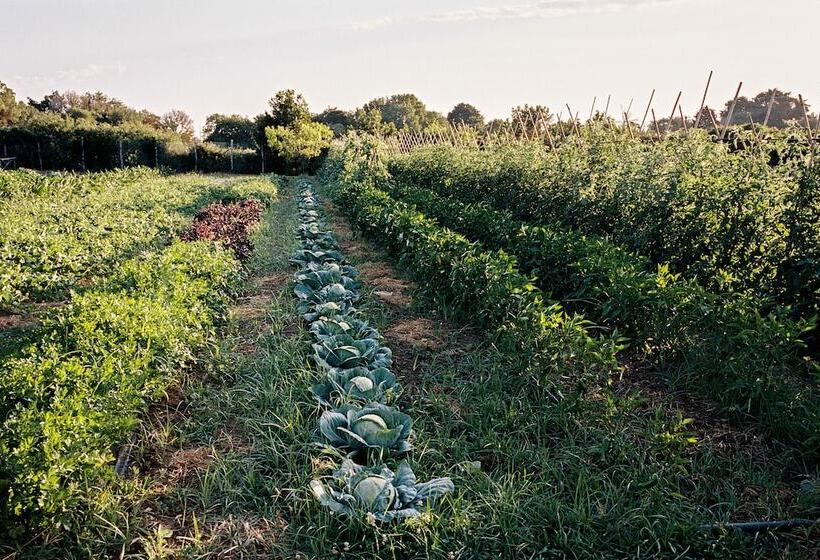 La Posta Vecchia Hotel