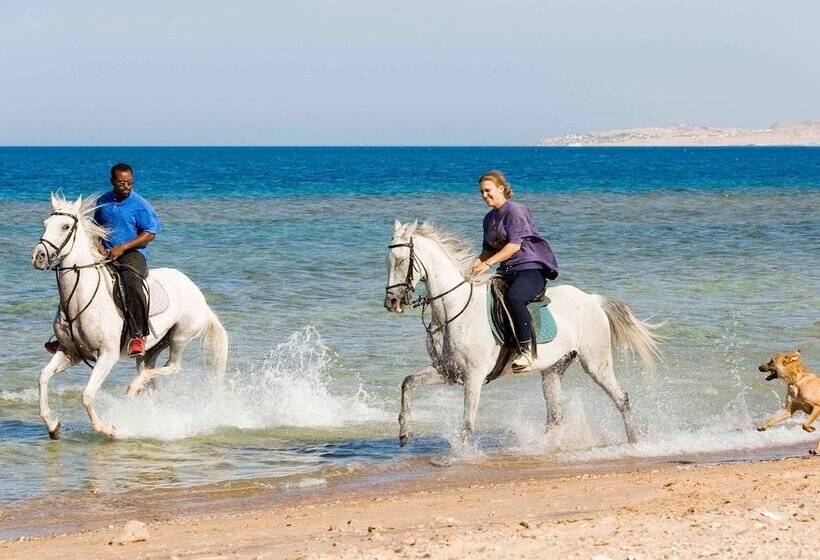 酒店 Mercure Hurghada