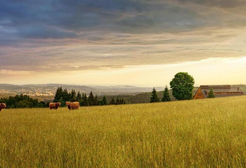 هتل Premier  Adults Only