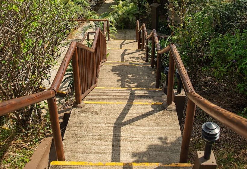 فندق Punta Islita, Autograph Collection