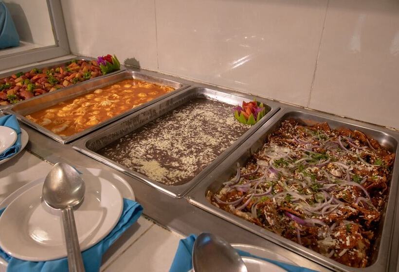 בית מלון כפרי Qualton Club Ixtapa All Inclusive