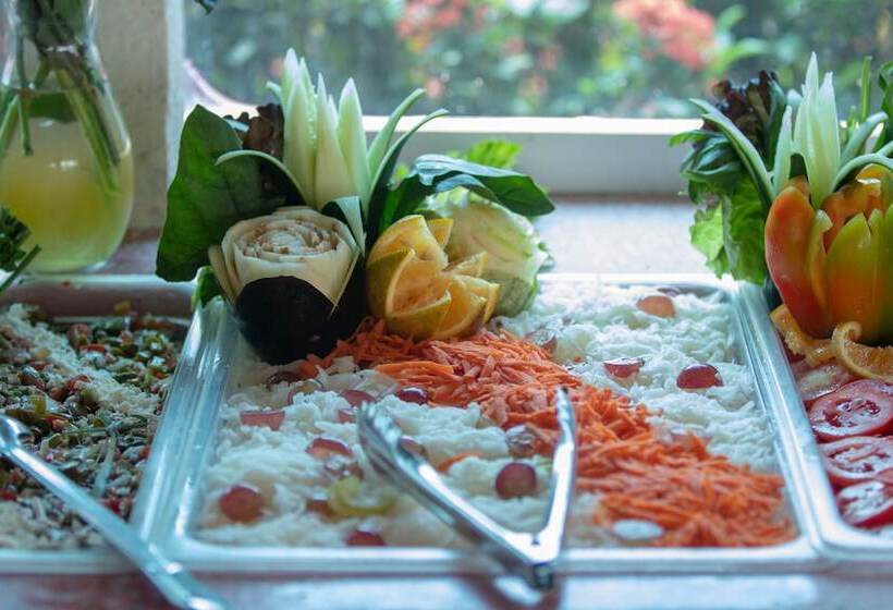 בית מלון כפרי Qualton Club Ixtapa All Inclusive