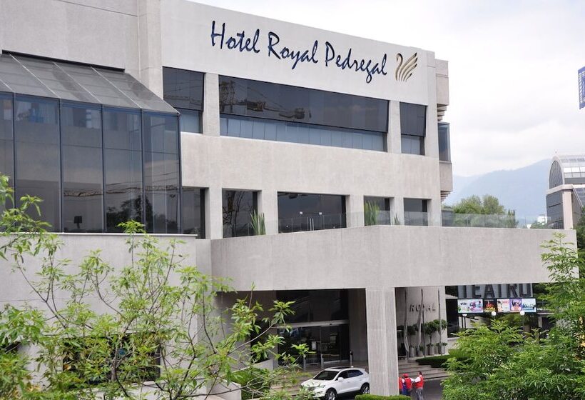 هتل Royal Pedregal