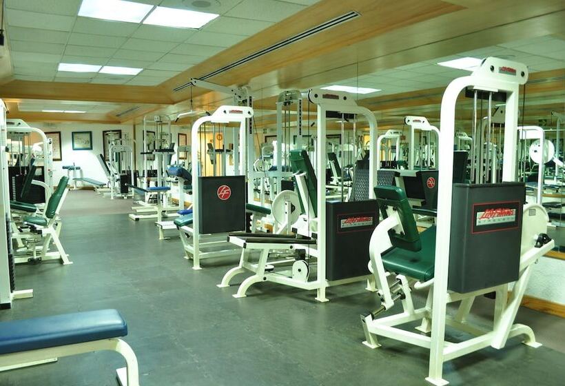 هتل Royal Pedregal