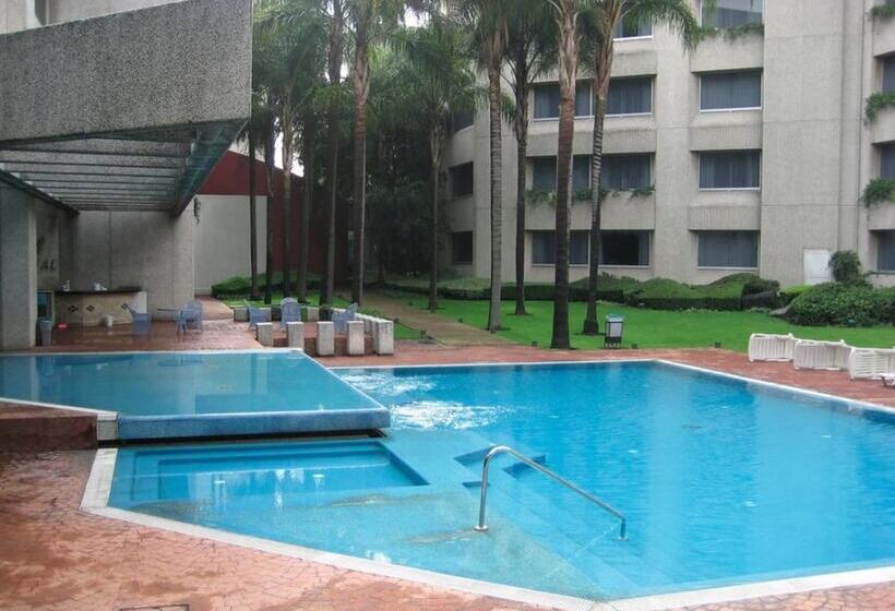 هتل Royal Pedregal