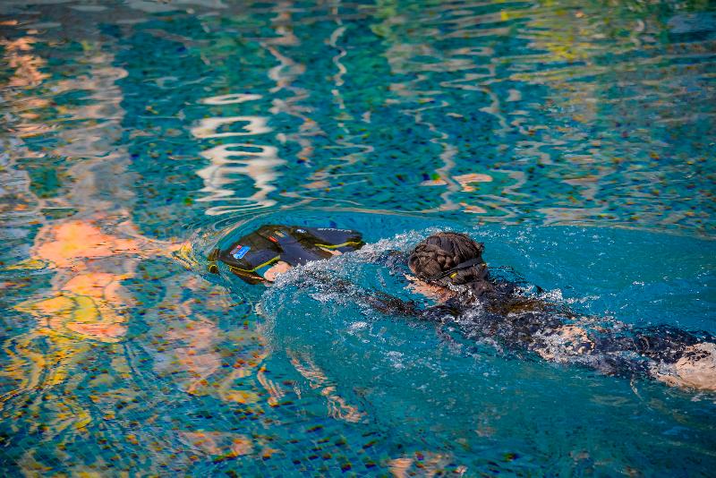 Отель Royal Wing Suites & Spa Pattaya