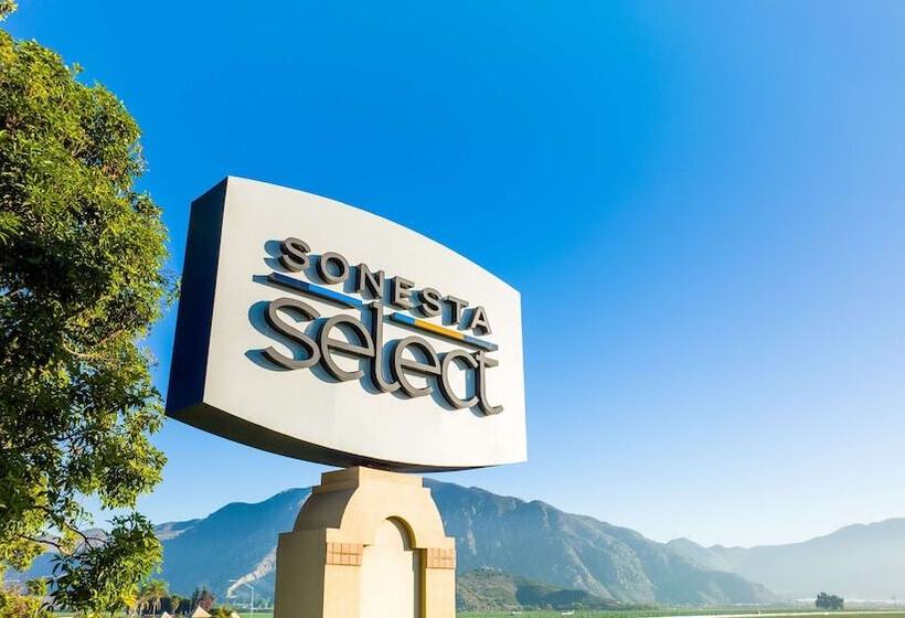 ホテル Sonesta Select Camarillo