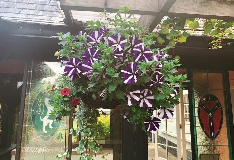 酒店 The Hoops Inn & Country