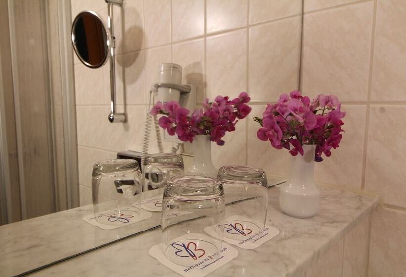 Отель Weisser Schwan