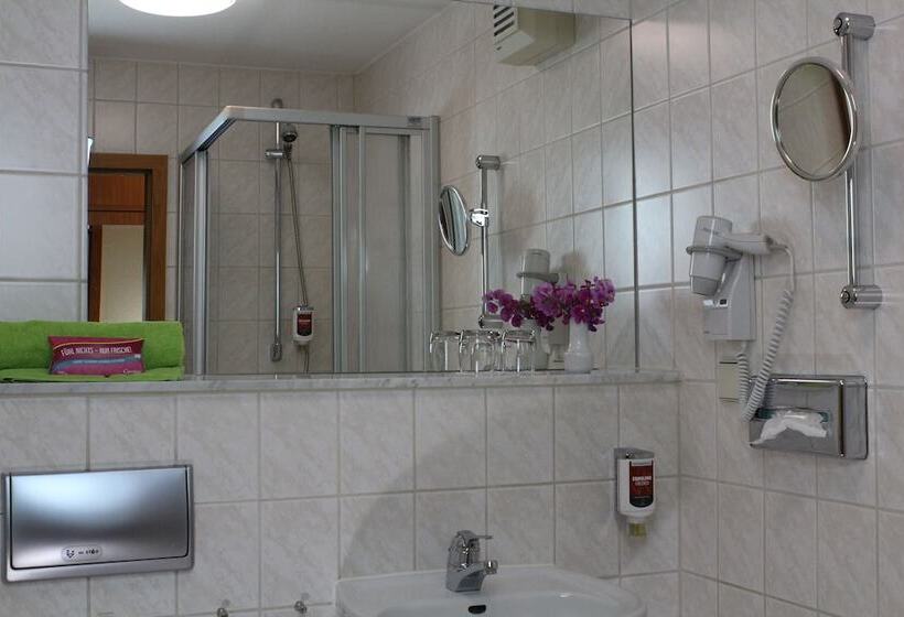 Отель Weisser Schwan