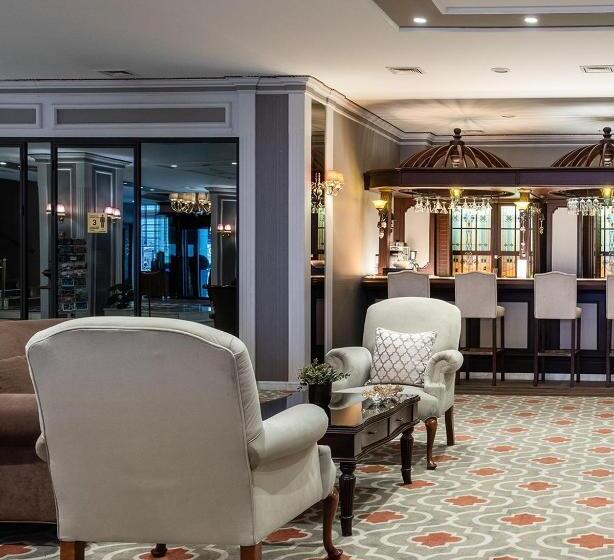 هتل Yigitalp Istanbul