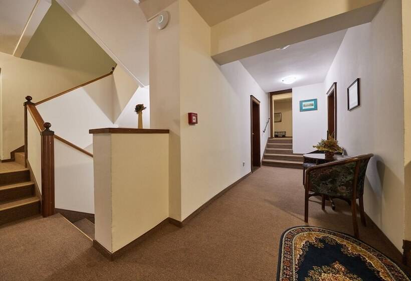 ホテル Adam Trutnov