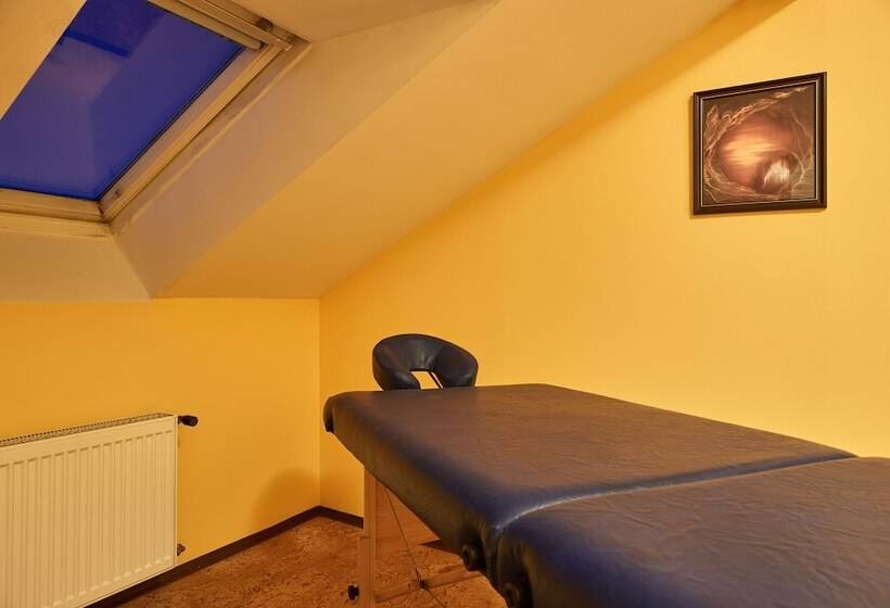 ホテル Adam Trutnov