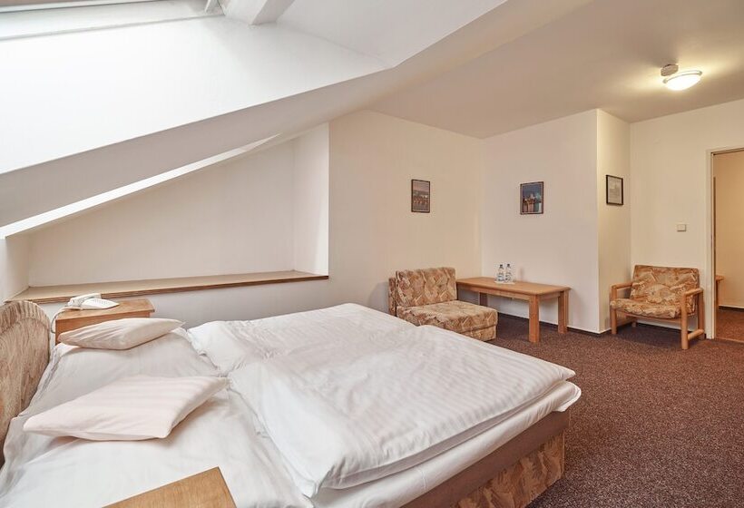 ホテル Adam Trutnov