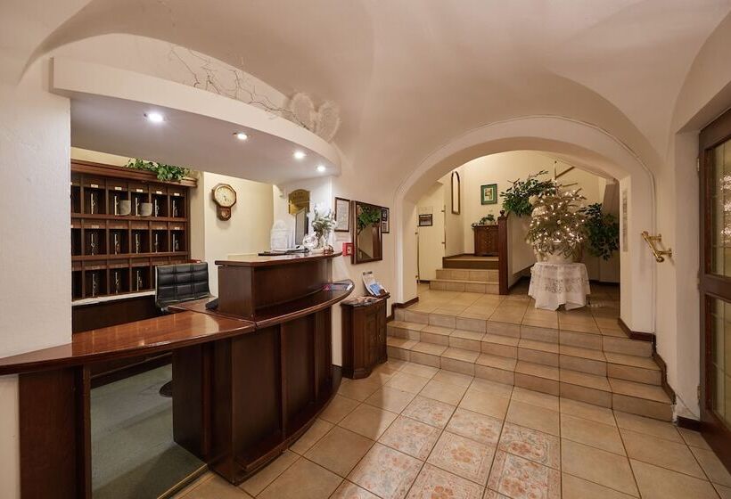 ホテル Adam Trutnov