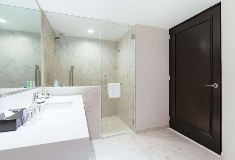 فندق Barceló Mexico Reforma