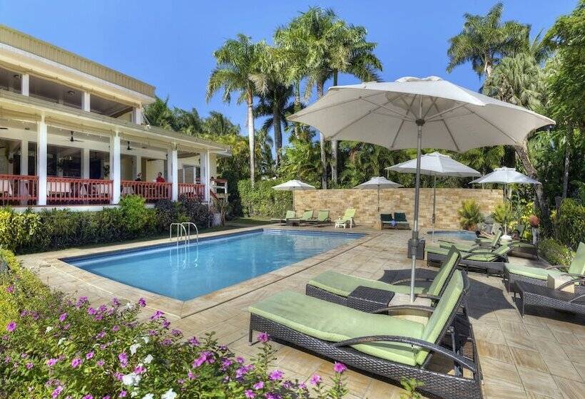 Отель Bedarra Beach Inn