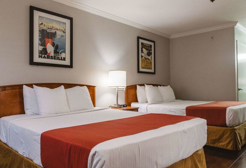 ホテル Best Western Palm Garden Inn