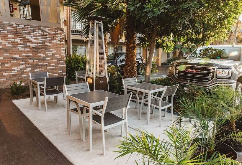 ホテル Best Western Palm Garden Inn